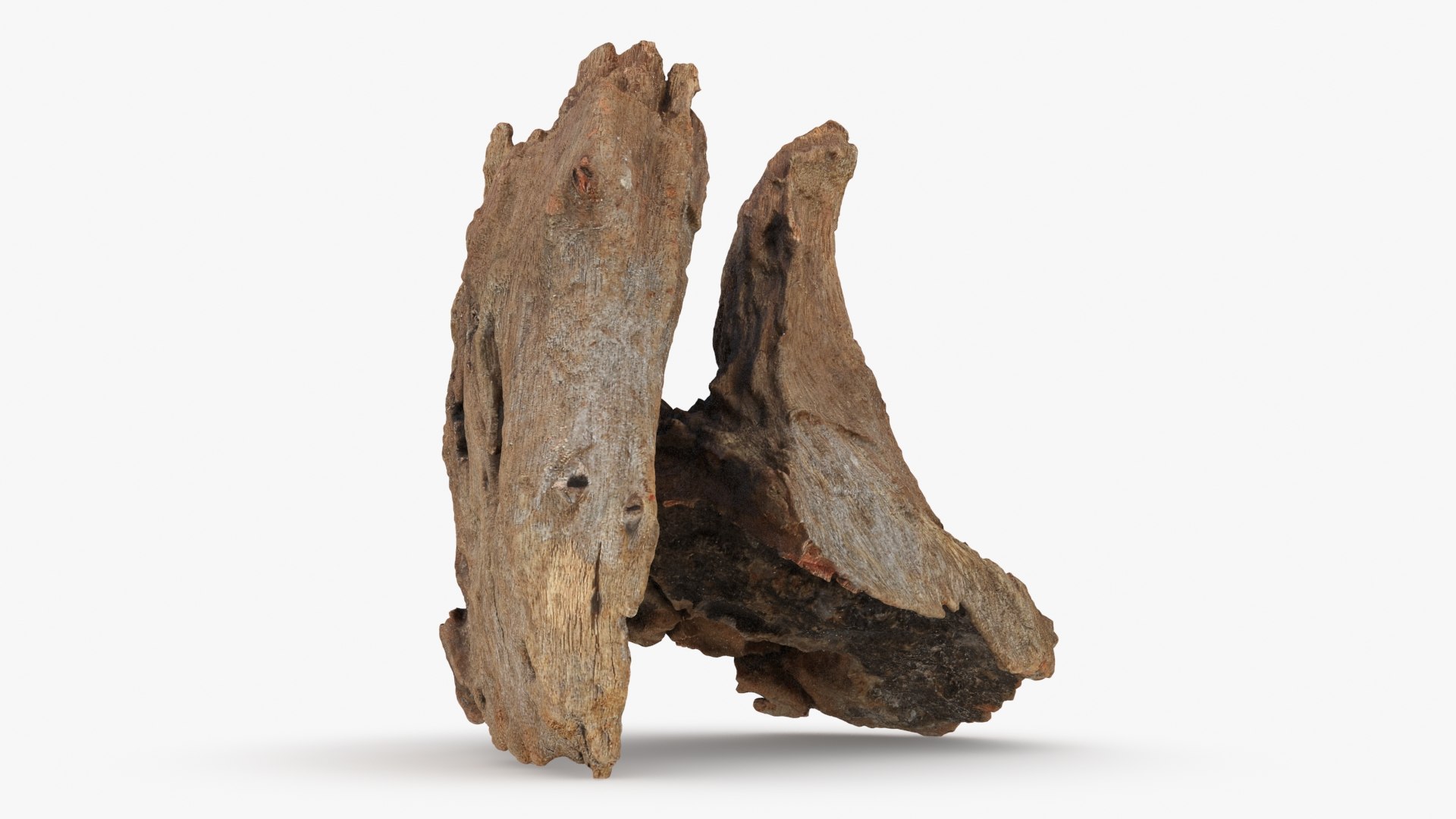 3D Driftwood Piece 02 https://p.turbosquid.com/ts-thumb/Ft/6y9pL0/TY/driftwood02_b0016/jpg/1735380885/1920x1080/fit_q87/bc419b11c775b877030125ce93a73774bb1edb19/driftwood02_b0016.jpg