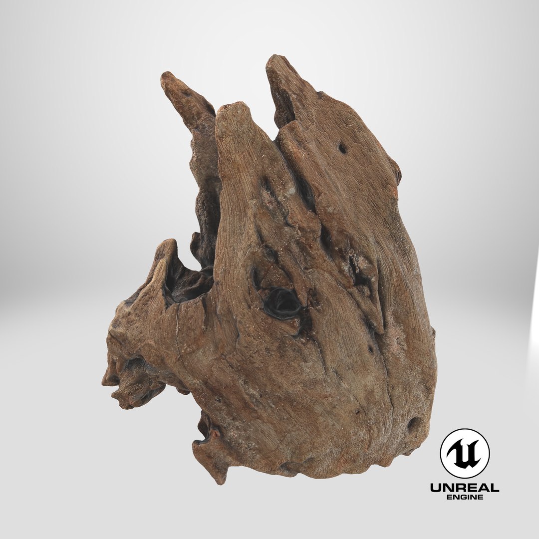 3D Driftwood Piece 02 https://p.turbosquid.com/ts-thumb/Ft/6y9pL0/Vh/stemcell_unreal_render/png/1739382006/1920x1080/fit_q87/55159202f85aa297b7981897cfe6b6f05446512a/stemcell_unreal_render.jpg