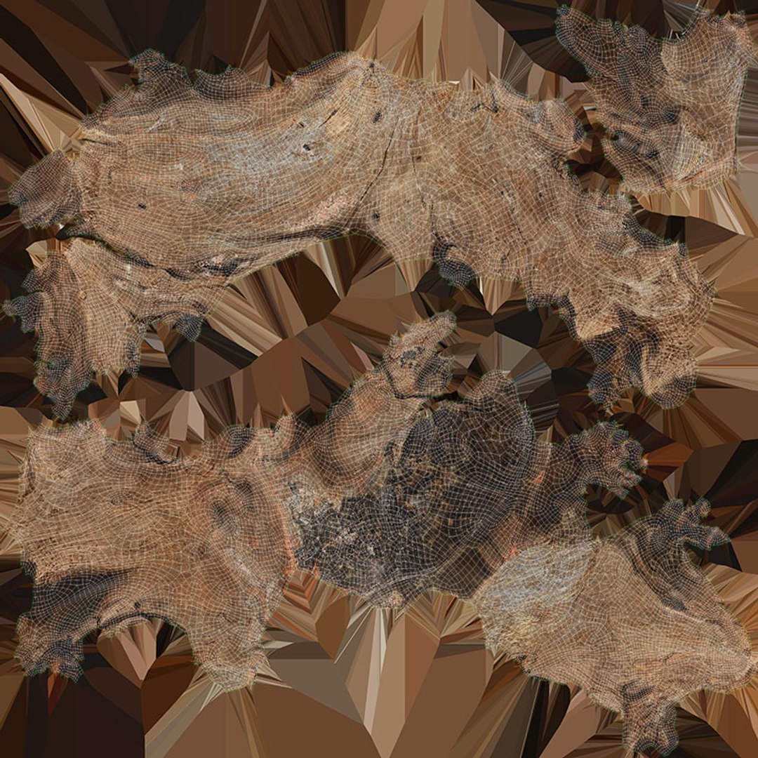 3D Driftwood Piece 02 https://p.turbosquid.com/ts-thumb/Ft/6y9pL0/YE/driftwood02_d0004/jpg/1735380888/1920x1080/fit_q87/ee6af59527cc3132b4aa8dc7c0fd96d3db0aadc0/driftwood02_d0004.jpg