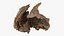 Driftwood Piece 02