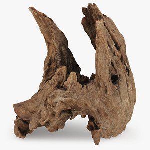 3D Driftwood Piece 02