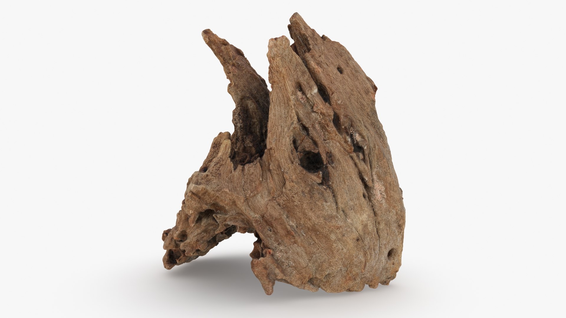 3D Driftwood Piece 02 https://p.turbosquid.com/ts-thumb/Ft/6y9pL0/nm/driftwood02_b0012/jpg/1735380883/1920x1080/fit_q87/ae6e00f2acc6caca98f07c65f99d3e7e4bf5feeb/driftwood02_b0012.jpg