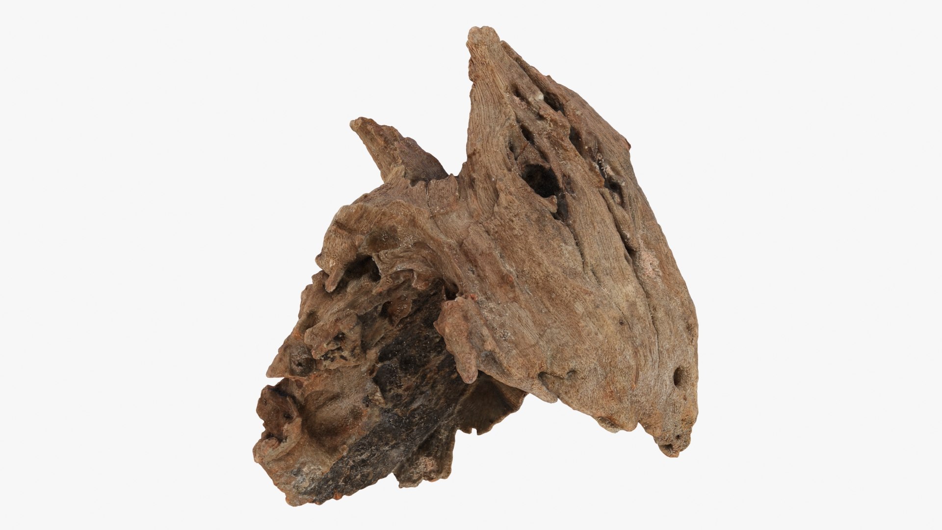 3D Driftwood Piece 02 https://p.turbosquid.com/ts-thumb/Ft/6y9pL0/pl/driftwood02_b0020/jpg/1735380887/1920x1080/fit_q87/6db526b6950a37ed7ca8cfc4d578a96bc5764ef5/driftwood02_b0020.jpg