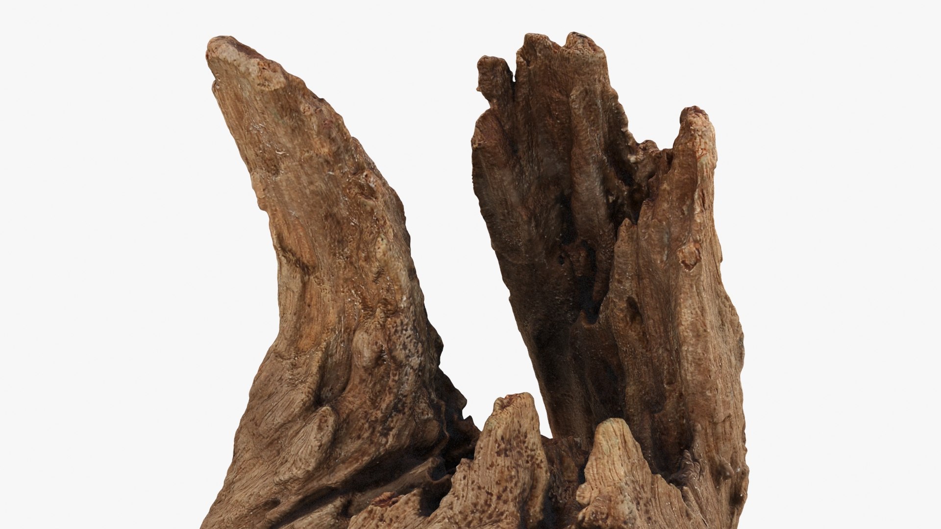 3D Driftwood Piece 02 https://p.turbosquid.com/ts-thumb/Ft/6y9pL0/ri/driftwood02_b0006/jpg/1735380881/1920x1080/fit_q87/bb521db6db079daabd4652abe53201011fbf2f4d/driftwood02_b0006.jpg