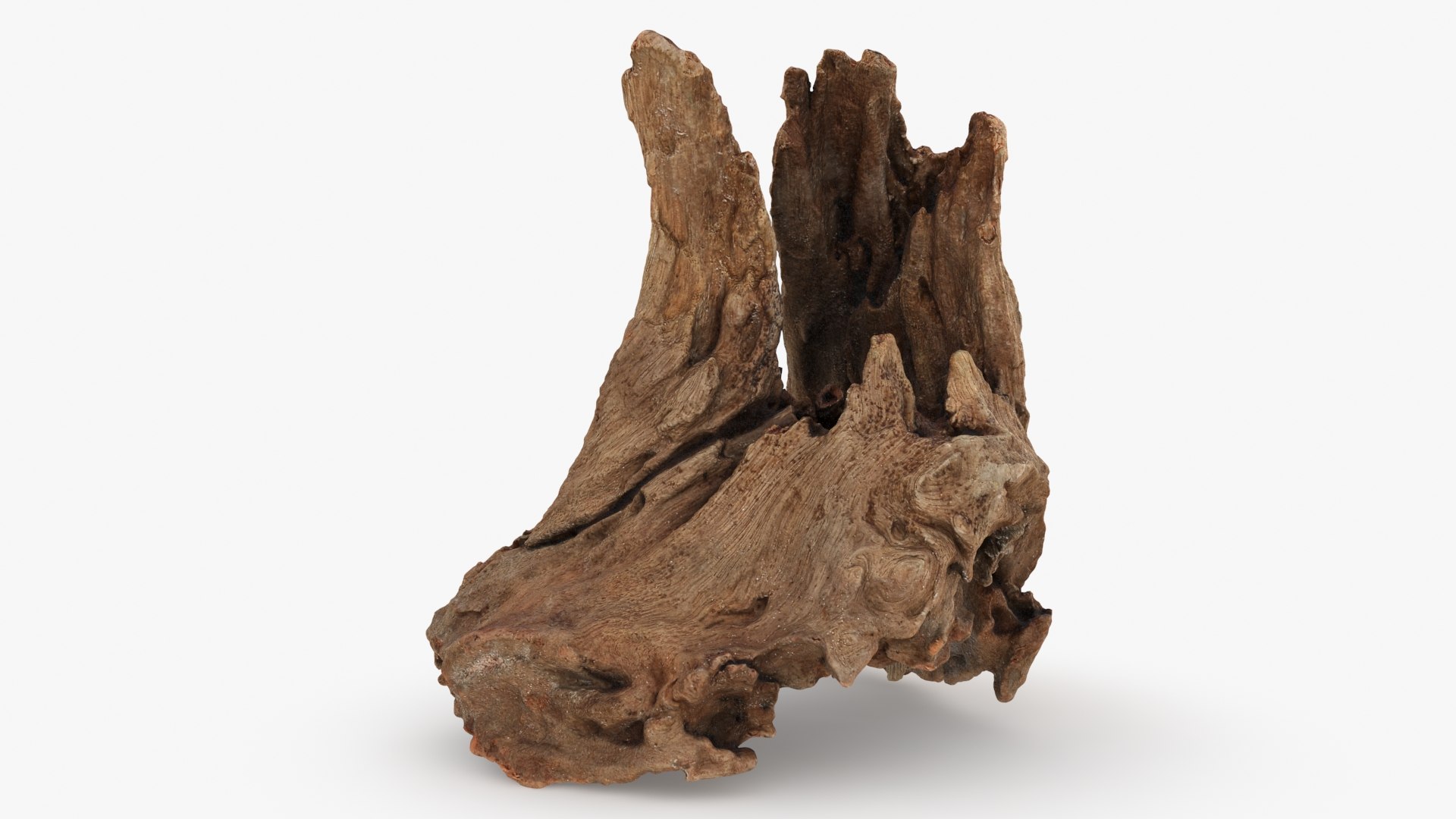 3D Driftwood Piece 02 https://p.turbosquid.com/ts-thumb/Ft/6y9pL0/wU/driftwood02_b0010/jpg/1735380883/1920x1080/fit_q87/b69b1835c97d9fa430c1cd224b63cf6ef71bfe2b/driftwood02_b0010.jpg