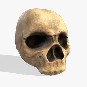 Models 3D