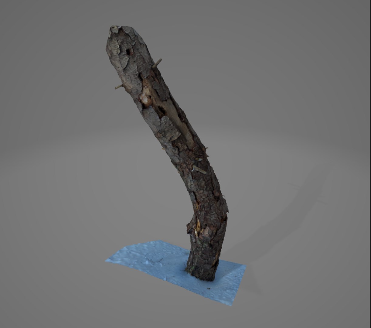 3D Winter Forest in New England -Pack 1 https://p.turbosquid.com/ts-thumb/Ft/BvqSRn/9U/image_12/png/1644623550/1920x1080/fit_q87/54ad5404d30da2ec02db9ece823ecf06f49df2ed/image_12.jpg