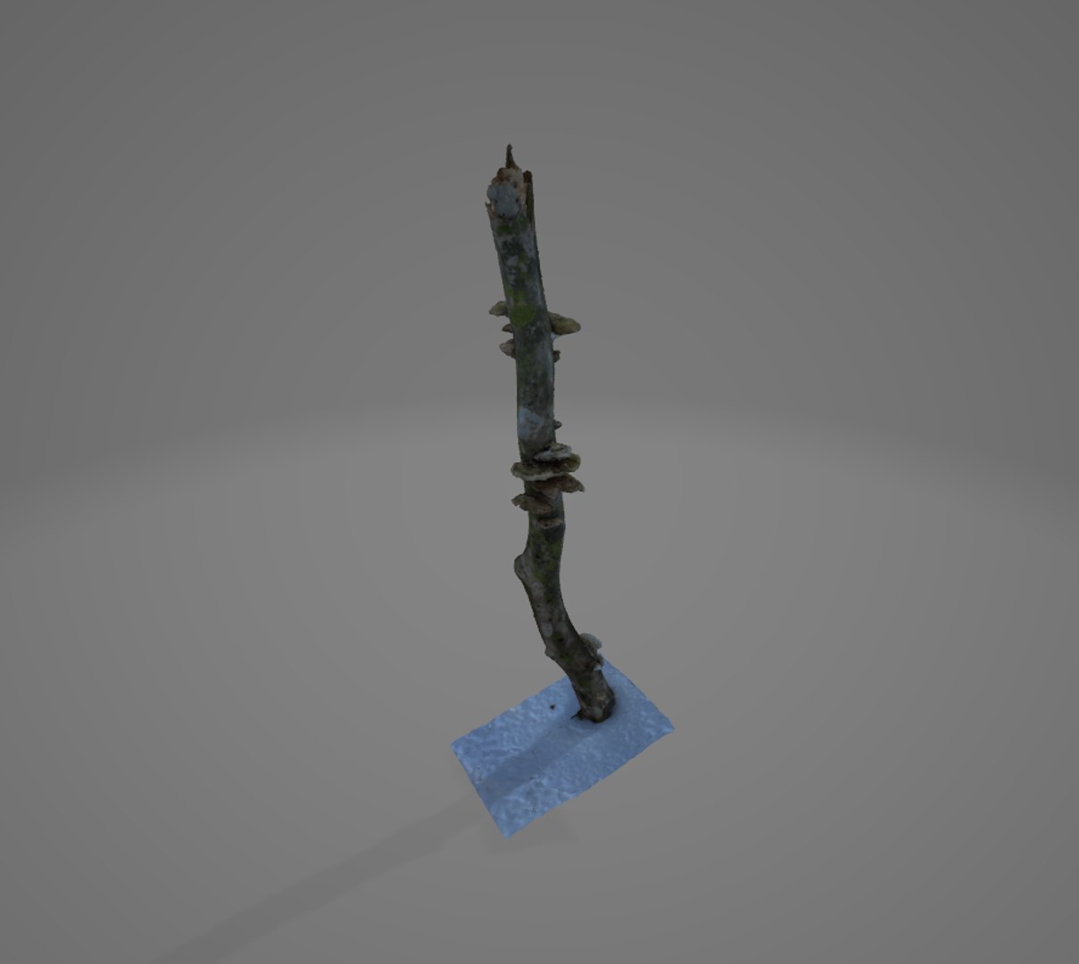 3D Winter Forest in New England -Pack 1 https://p.turbosquid.com/ts-thumb/Ft/BvqSRn/Mp/image_11/png/1644623548/1920x1080/fit_q87/d54d1b2e071859e0f31a54334054f0fb70679106/image_11.jpg
