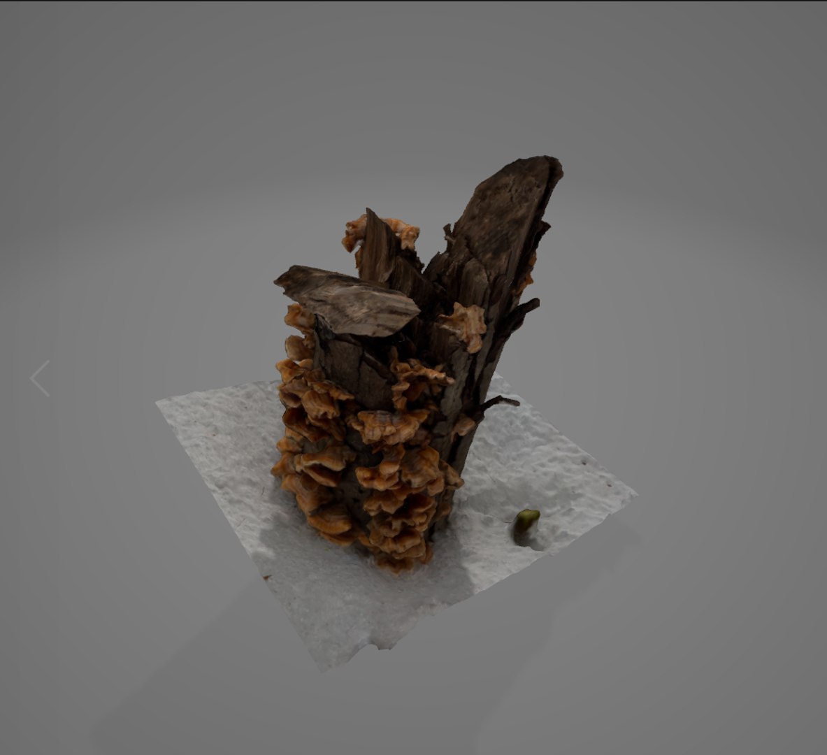 3D Winter Forest in New England -Pack 1 https://p.turbosquid.com/ts-thumb/Ft/BvqSRn/UG/image_08/png/1644623549/1920x1080/fit_q87/84a494de2dc4b078d6b3f7a2c9cb38d8bf918504/image_08.jpg