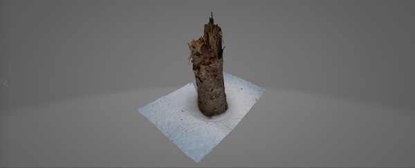 3D Winter Forest in New England -Pack 1
