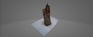 Winter Forest in New England -Pack 1