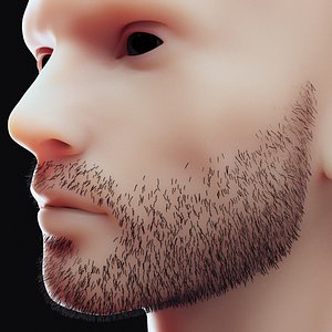 Stubble Low Poly 1