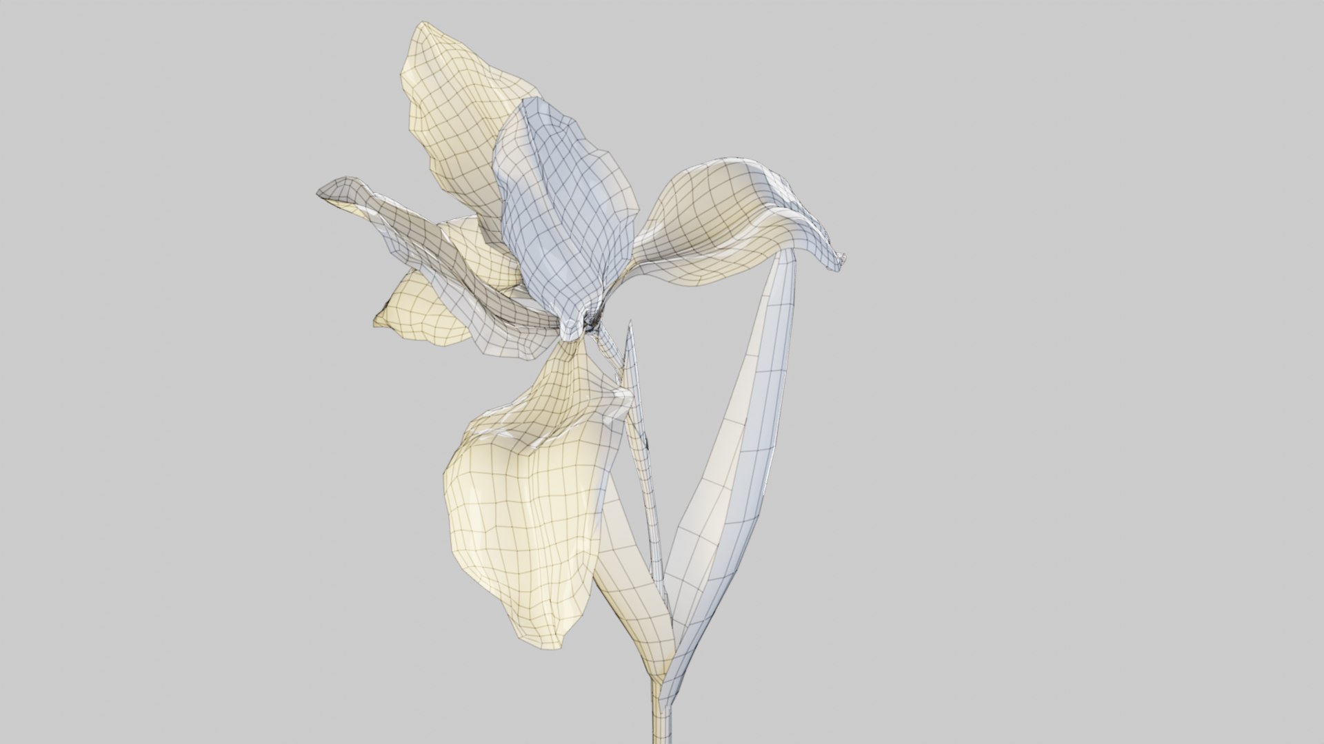 3D Animated Low Poly Iris Flower - TurboSquid 2215611