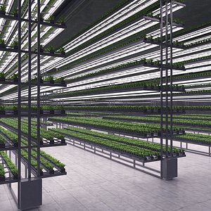 Hydroponics Vertical Farm 05 3D model