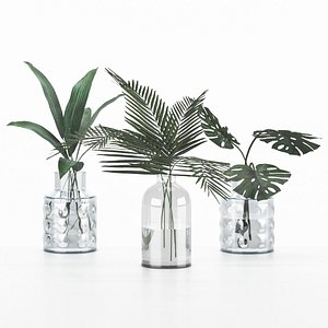 3D plant collection 6