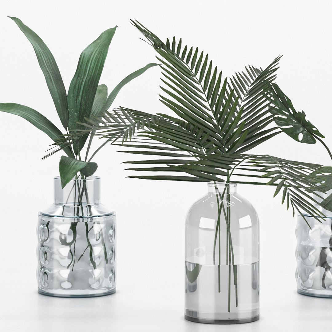 3D plant collection 6 https://p.turbosquid.com/ts-thumb/Ft/iaJXCR/ab/4pp/jpg/1640944014/1920x1080/fit_q87/ee4c999c9c5af5163bac23467f3cb9916f3fa3ce/4pp.jpg