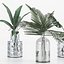 colección de plantas 6