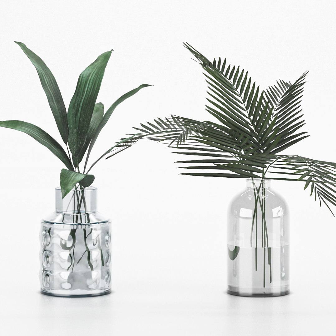 3D plant collection 6 https://p.turbosquid.com/ts-thumb/Ft/iaJXCR/vQ/2p/jpg/1640944040/1920x1080/fit_q87/bf6f27dec93460a91732c31c0377eb76d43a0dcc/2p.jpg