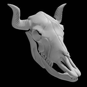 Cow skull 3D