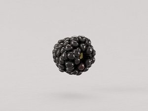 Blackberry