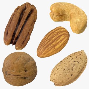 Nuts Collection 3D