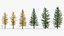 Larix laricina Tamarack