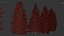 Larix laricina Tamarack