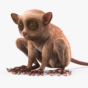 3D Tarsier Fur for Cinema 4D model