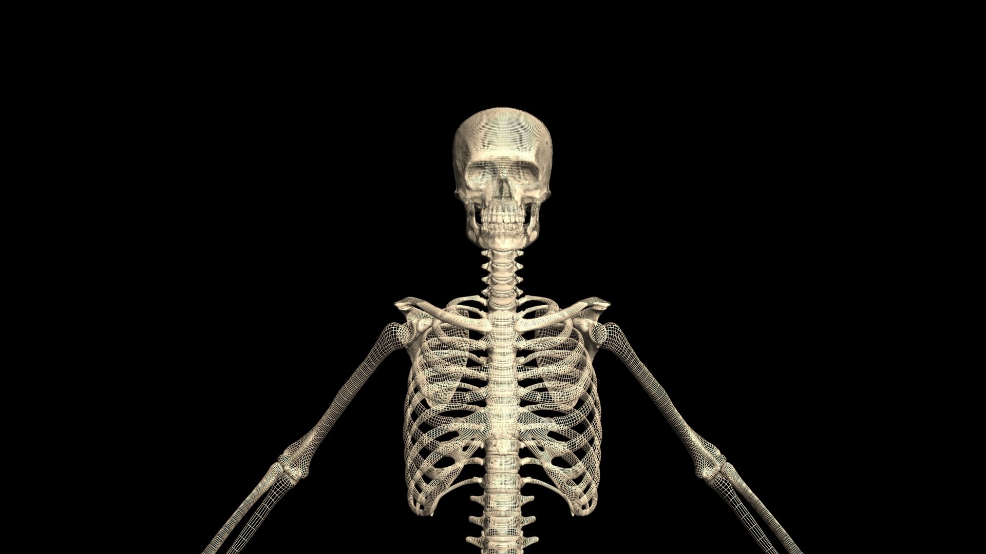3D Skeleton Bash https://p.turbosquid.com/ts-thumb/Fu/AoxjUX/hB/201/jpg/1751103628/1920x1080/fit_q87/33d631fc40e02ce4c4160fc7dac28fd39711d654/201.jpg