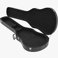 Guitar Case