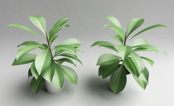 3d decorative plant metal model