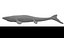 Tylosaurus untextured