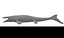 Tylosaurus untextured