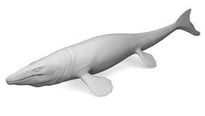 3D Tylosaurus untextured model