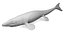 Tylosaurus untextured