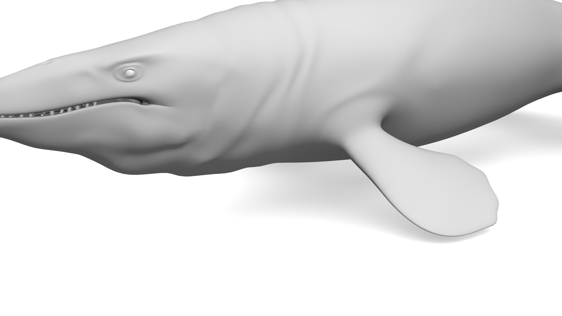 3D Tylosaurus untextured model https://p.turbosquid.com/ts-thumb/Fu/d3zyX8/6k/tylo0004/jpg/1759268235/1920x1080/fit_q87/b2ed8522bb4a7bd879de82a8c98a2386ac7cd64b/tylo0004.jpg