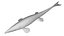 Tylosaurus untextured