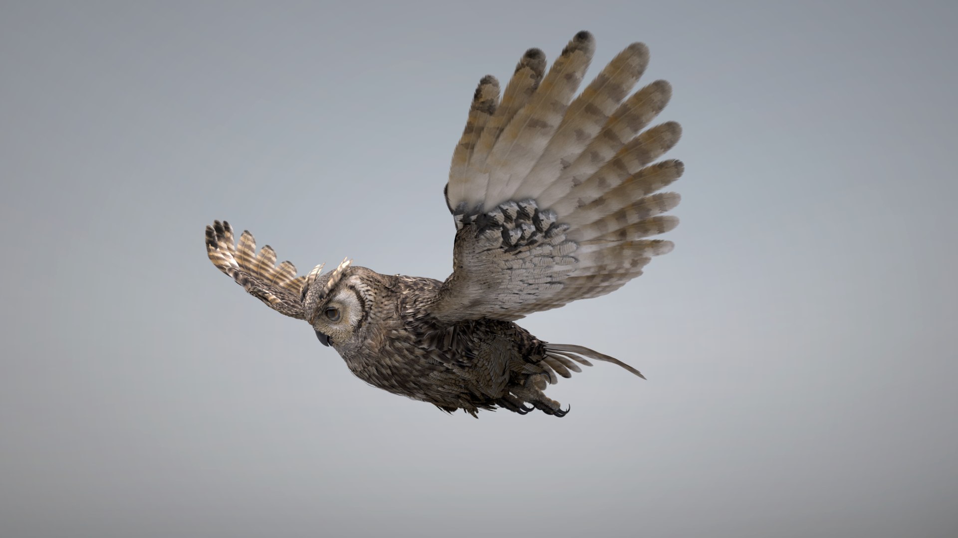 Owl RIGGED 3D model https://p.turbosquid.com/ts-thumb/Fu/kbJntH/CC/owl5/png/1750405345/1920x1080/fit_q87/9a0a2ab48ec0c2b04d5eeb9e566d31b98b1b5b93/owl5.jpg