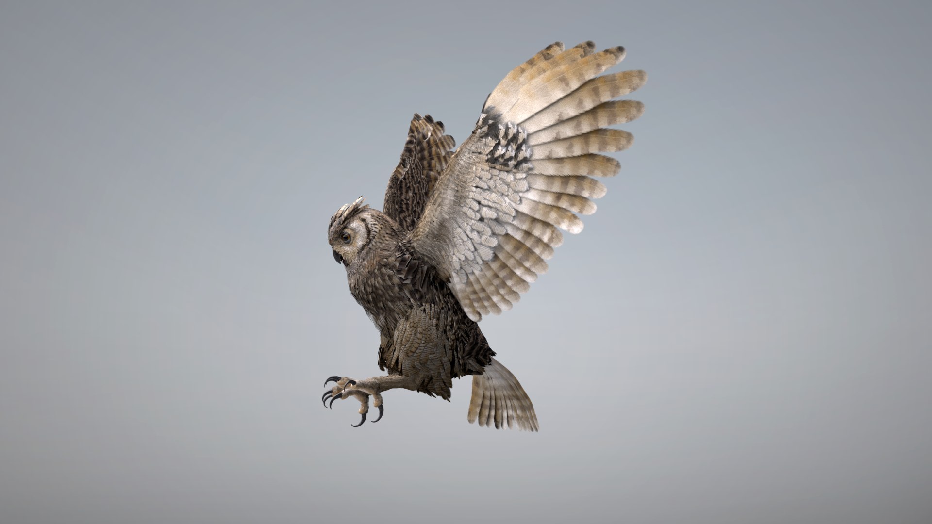 Owl RIGGED 3D model https://p.turbosquid.com/ts-thumb/Fu/kbJntH/FX/owl3/png/1750405341/1920x1080/fit_q87/e054ef79ece00d4430a3b653a5a0d910e21bba8c/owl3.jpg