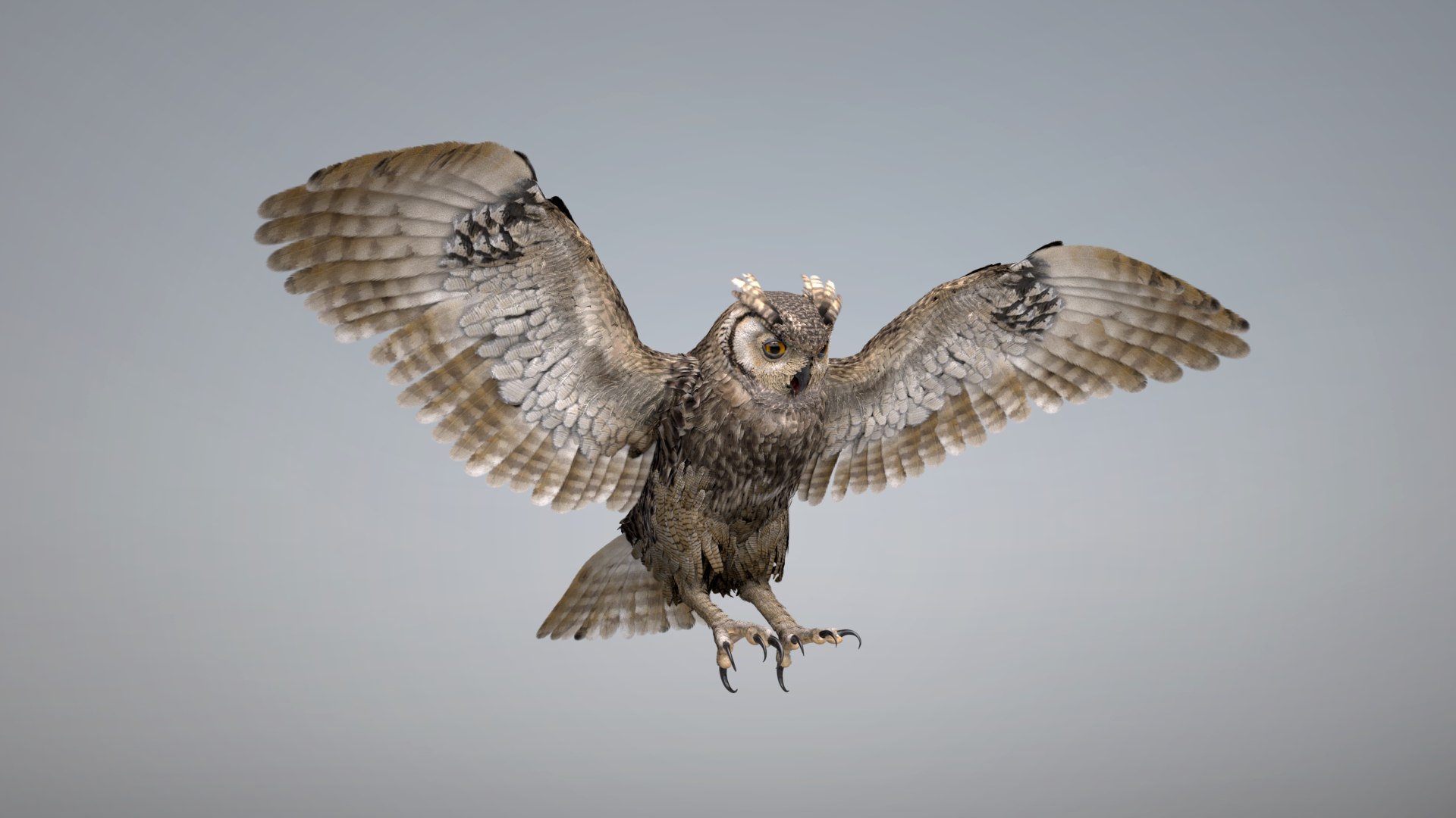 Owl RIGGED 3D model https://p.turbosquid.com/ts-thumb/Fu/kbJntH/ny/owl1/png/1750405340/1920x1080/fit_q87/8917446524ce10efcdbcdafb099d58af7970a60a/owl1.jpg