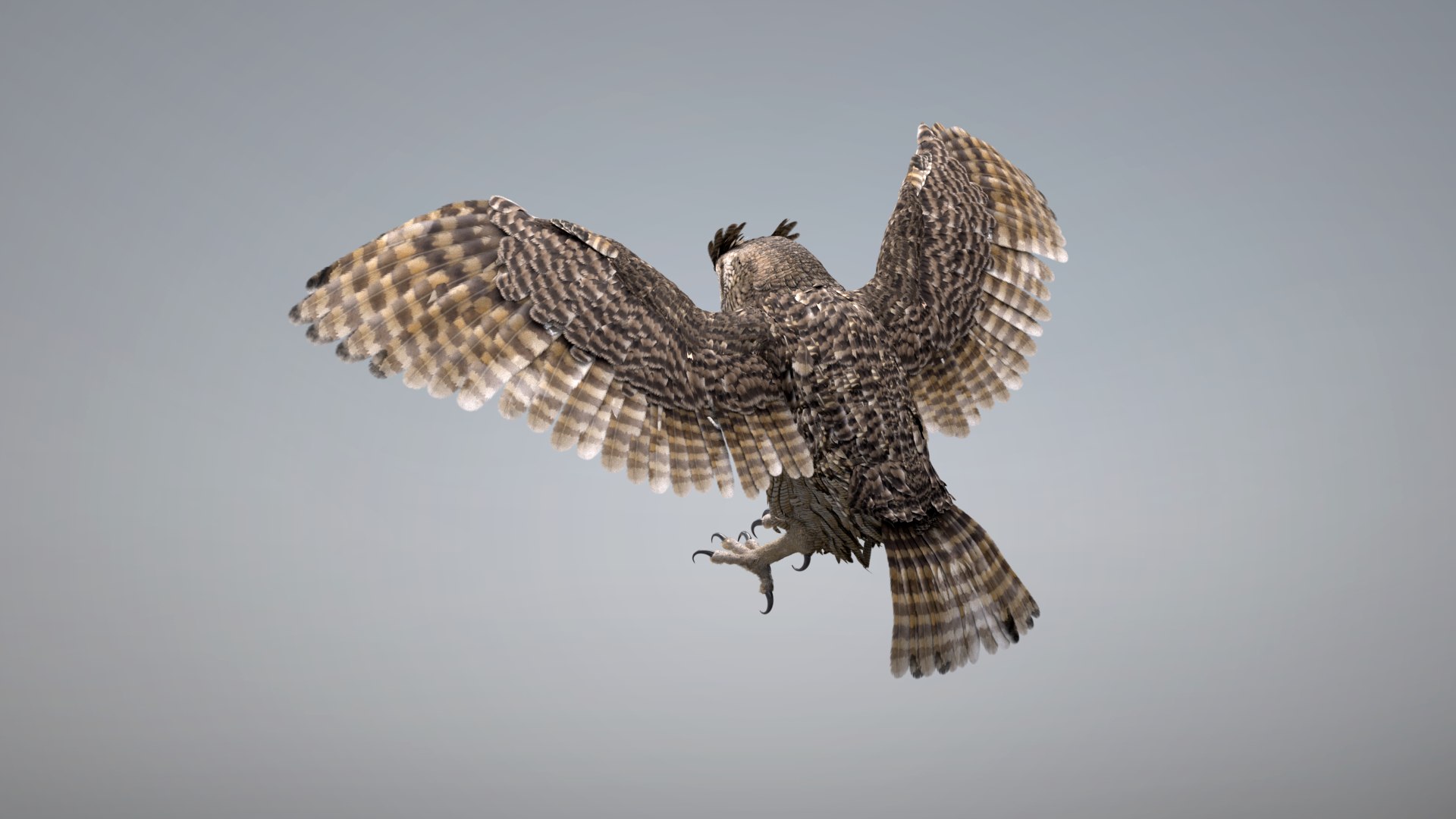 Owl RIGGED 3D model https://p.turbosquid.com/ts-thumb/Fu/kbJntH/ul/owl2/png/1750405340/1920x1080/fit_q87/4724f475b8c84000951497e18e3272d661f16323/owl2.jpg