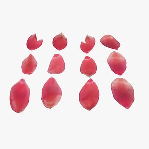 3D Red Tulip Petals model