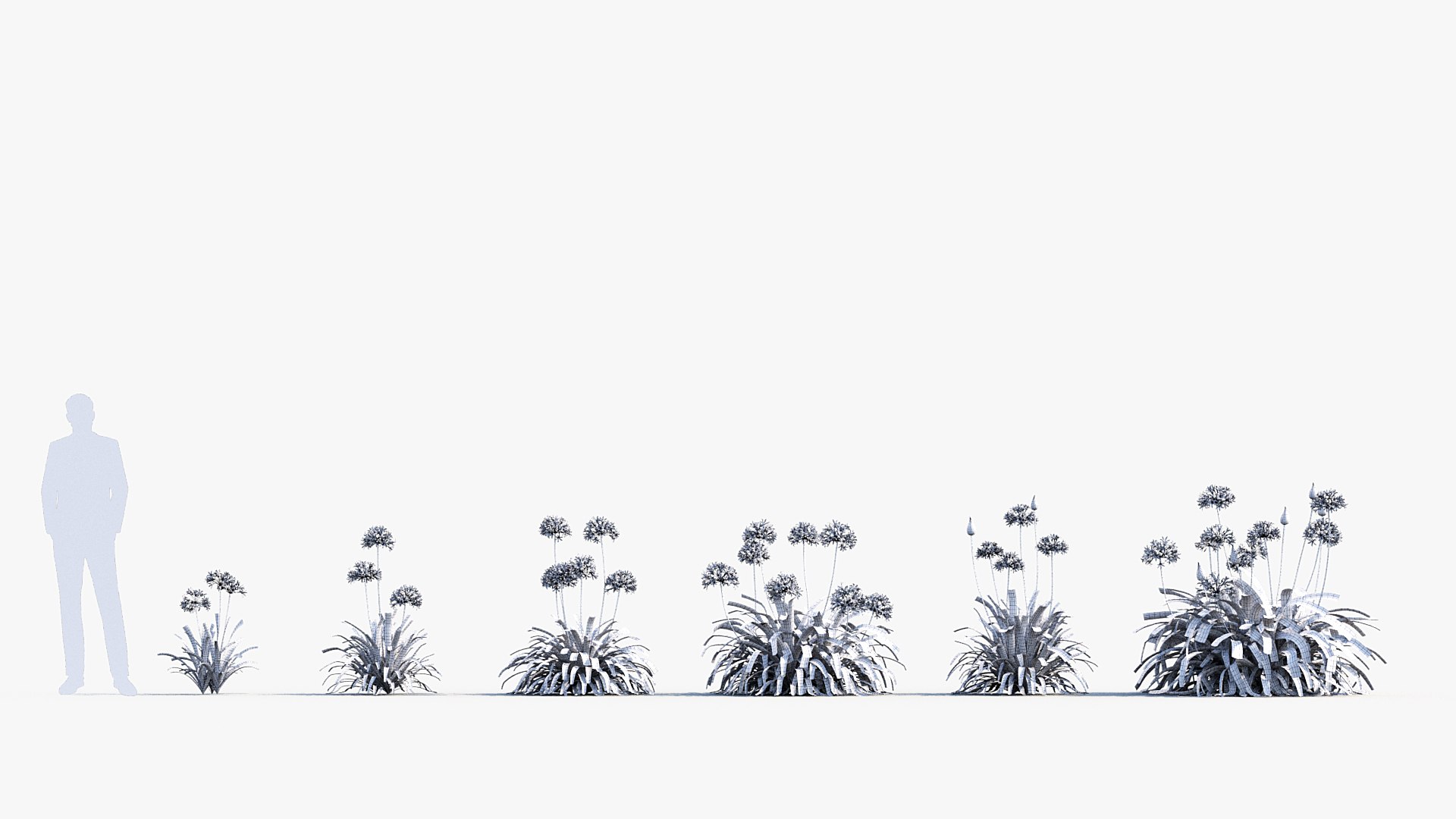 Package 05 Garden Flower Plants 3D https://p.turbosquid.com/ts-thumb/Fv/EpDM6s/4r/bc_pm_p05_agapanthus_africanus_wire/jpg/1705578052/1920x1080/fit_q87/aec5eb9b396ae7e497b55af4bf8015dcb24d2c6b/bc_pm_p05_agapanthus_africanus_wire.jpg