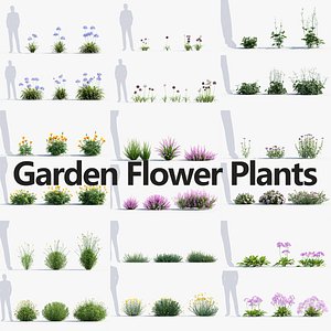 Package 05 Garden Flower Plants 3D