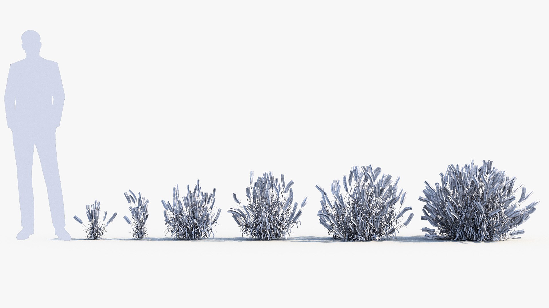 Package 05 Garden Flower Plants 3D https://p.turbosquid.com/ts-thumb/Fv/EpDM6s/8z/bc_pm_p05_lavender_wire/jpg/1705578163/1920x1080/fit_q87/b30d1577e9392c1120f9563690162fa42a64db7d/bc_pm_p05_lavender_wire.jpg