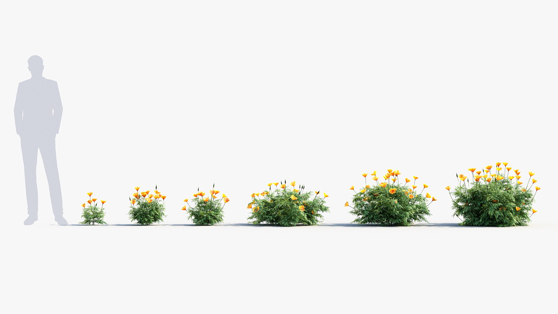 Package 05 Garden Flower Plants 3D https://p.turbosquid.com/ts-thumb/Fv/EpDM6s/AT/bc_pm_p05_california_poppy_01/jpg/1705578101/1920x1080/fit_q87/1067e81f5511a5057d4be95873a57a142690e74e/bc_pm_p05_california_poppy_01.jpg