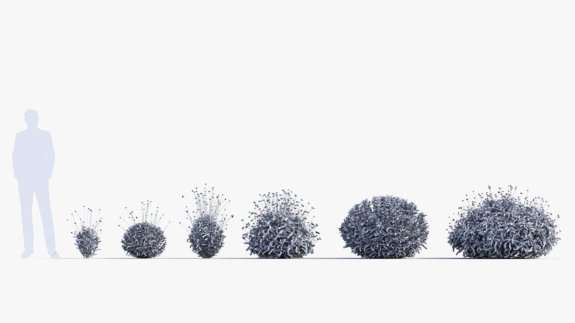Package 05 Garden Flower Plants 3D https://p.turbosquid.com/ts-thumb/Fv/EpDM6s/Ys/bc_pm_p05_santolina_rosmarinifolia_i_wire/jpg/1705578171/1920x1080/fit_q87/479f064092303840c5dcef6304f4540af90a3f3d/bc_pm_p05_santolina_rosmarinifolia_i_wire.jpg