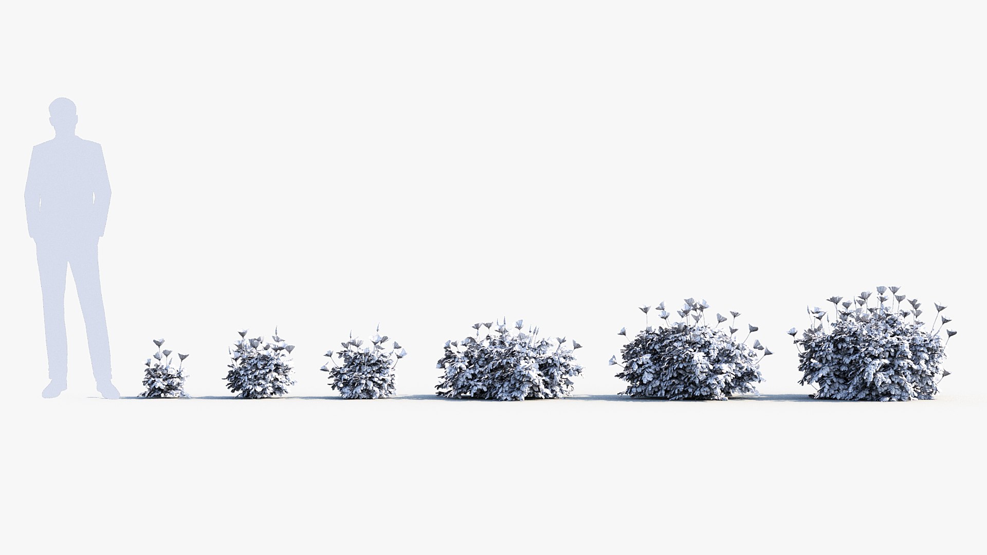 Package 05 Garden Flower Plants 3D https://p.turbosquid.com/ts-thumb/Fv/EpDM6s/a2/bc_pm_p05_california_poppy_wire/jpg/1705578122/1920x1080/fit_q87/8efd590d4df250c387db57a61dac79d7ce2c41db/bc_pm_p05_california_poppy_wire.jpg