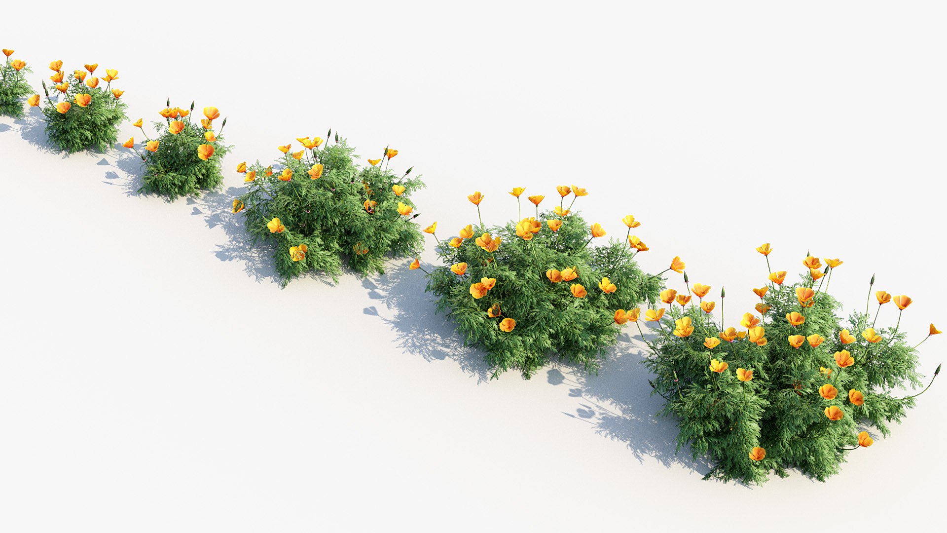 Package 05 Garden Flower Plants 3D https://p.turbosquid.com/ts-thumb/Fv/EpDM6s/aU/bc_pm_p05_california_poppy_05/jpg/1705578115/1920x1080/fit_q87/90988929773eae8e269a06596373a2aac06fe9fe/bc_pm_p05_california_poppy_05.jpg