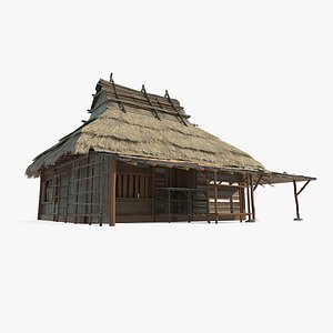 3D Ancient Asian thatched cottages and houses